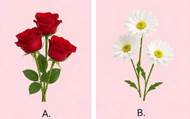 Quiz: Bạn mạnh mẽ hay điềm tĩnh, sâu sắc? - Ảnh 2.