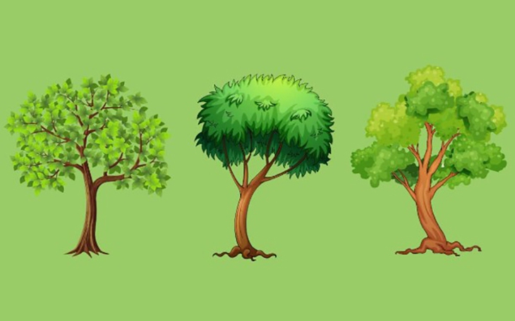 Quiz: Bạn sở hữu kiểu tư duy nào? - Ảnh 2.