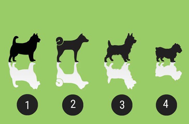 Quiz: Người khác nhìn nhận bạn là thông minh, năng động hay chín chắn? - Ảnh 1.