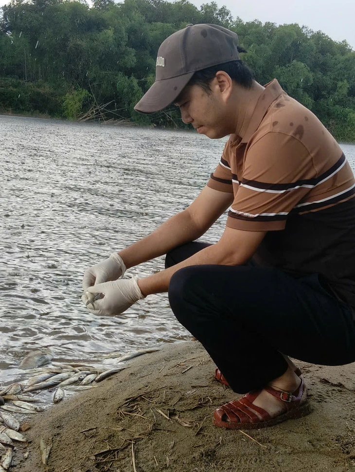 Cá chết hàng loạt trên sông Thác Ma , chính quyền điều tra nguyên nhân - Ảnh 1.