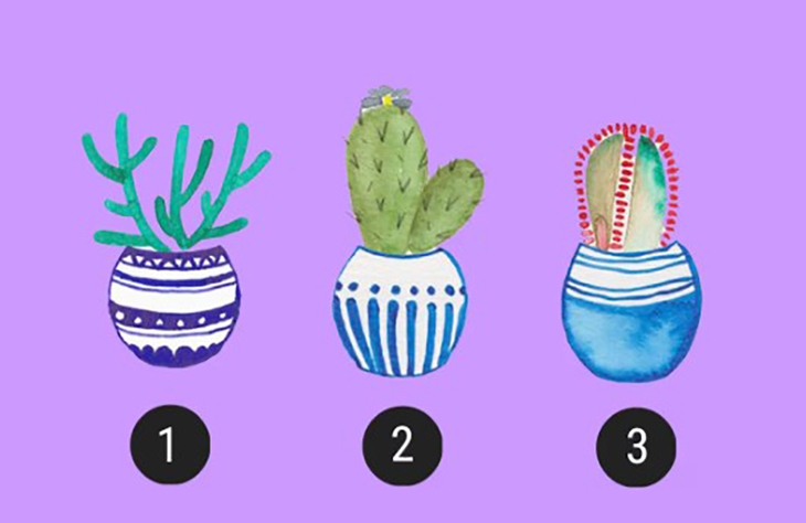 Quiz: Bạn quyết đoán và thẳng thắn trong các mối quan hệ? - Ảnh 1.