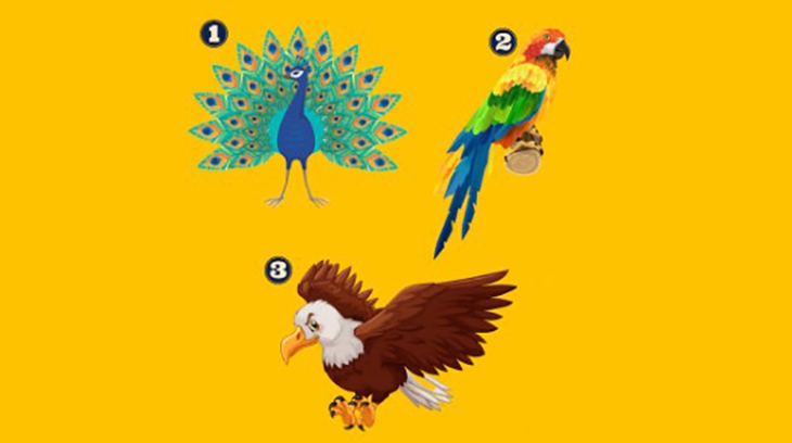 Quiz: Bạn bản lĩnh hay là người hướng ngoại? - Ảnh 1.