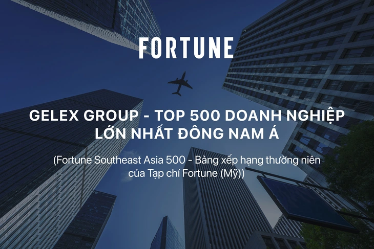 GELEX thăng hạng Top 500 doanh nghiệp lớn nhất Đông Nam Á - Ảnh 1.
