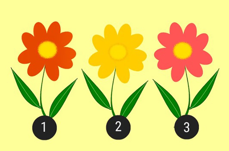 Quiz: Bạn tỏa niềm vui và nguồn năng lượng tích cực? - Ảnh 1.