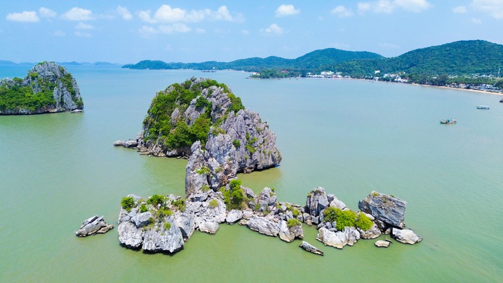 Gần 20 năm gặp sự cố đến nay, Hòn Phụ Tử ra sao? - Ảnh 5.