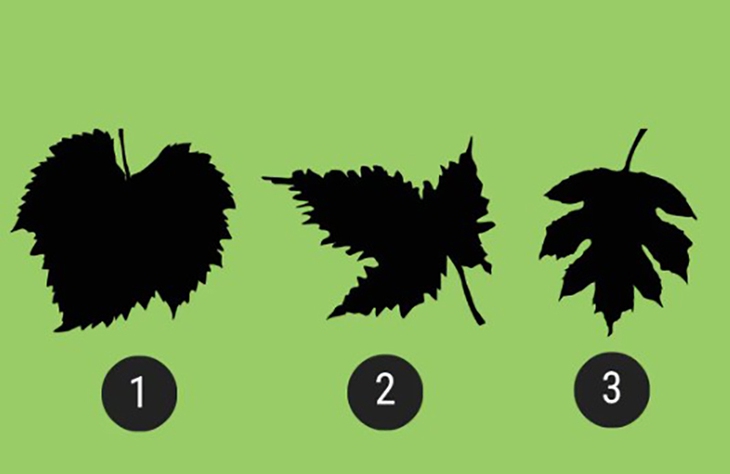 Quiz: Bạn lãng mạn đến mức nào? - Ảnh 1.