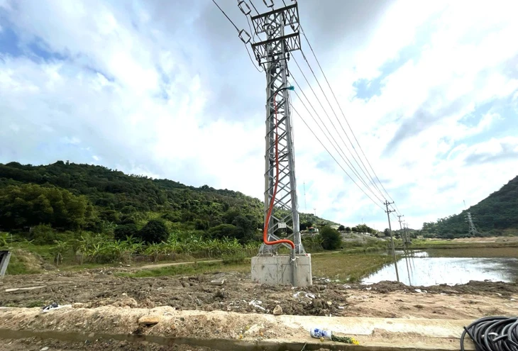 Phạt tù nhân viên điện lực ở Khánh Hòa - Ảnh 1.