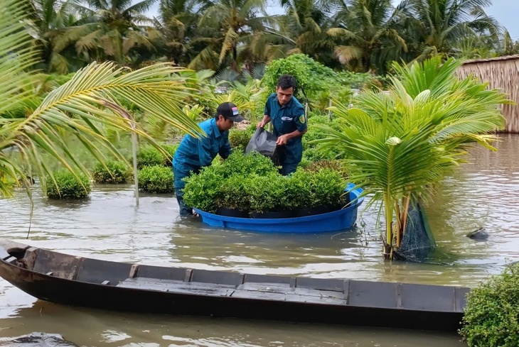 Sa Đéc mời chuyên gia tìm giải pháp chống ngập đô thị do mưa và triều cường - Ảnh 2.