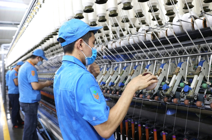 Cục Thống kê - Ảnh 1.