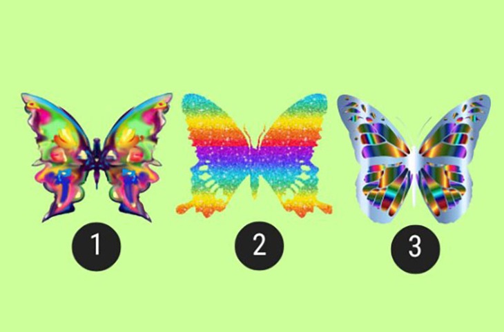 quiz - Ảnh 1.