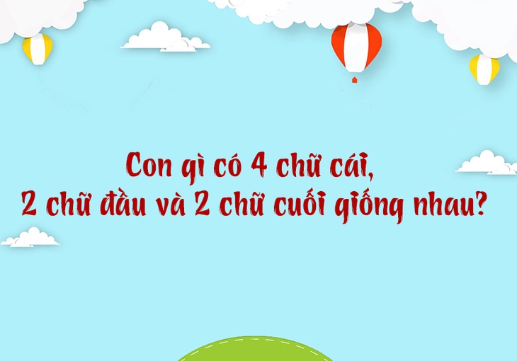 câu đố - Ảnh 3.