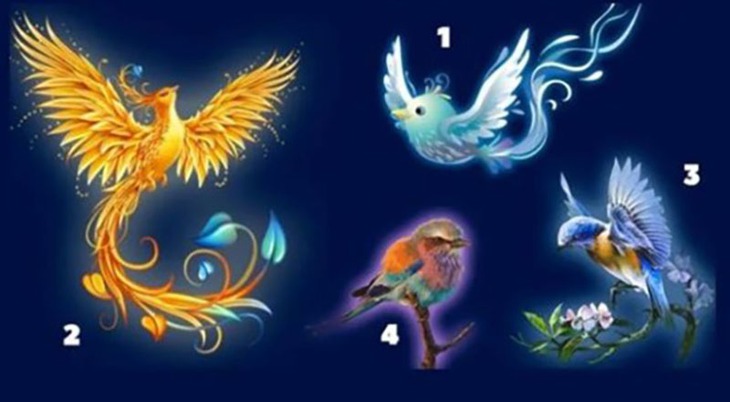 quiz - Ảnh 1.