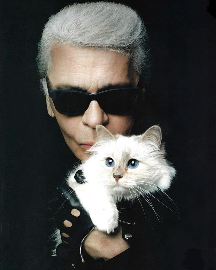 Choupette - Ảnh 2.