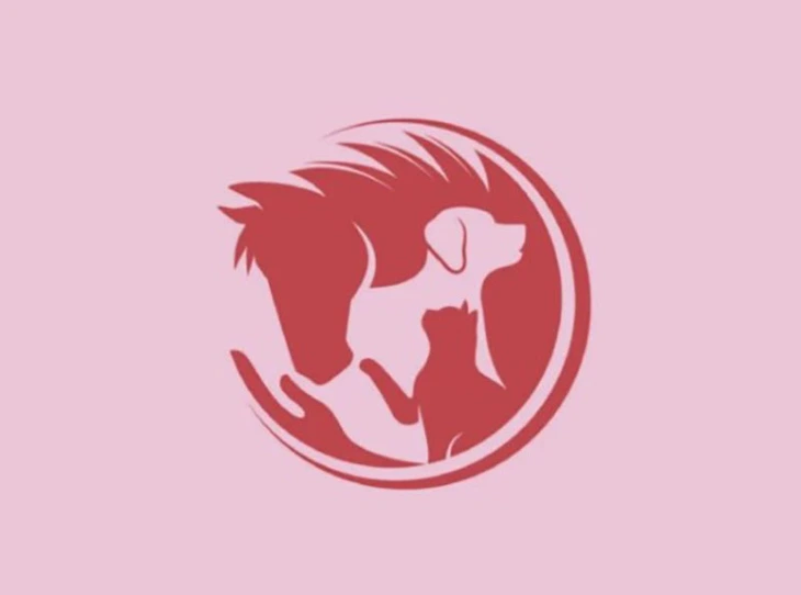 quiz - Ảnh 1.