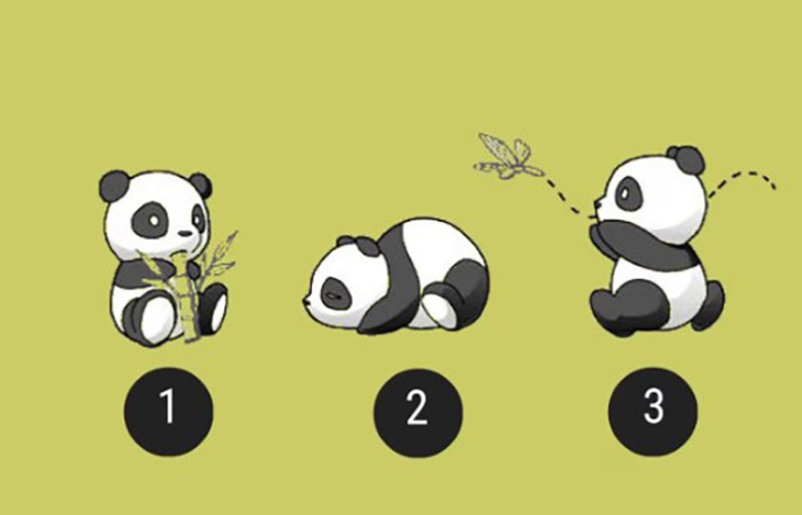 quiz - Ảnh 1.