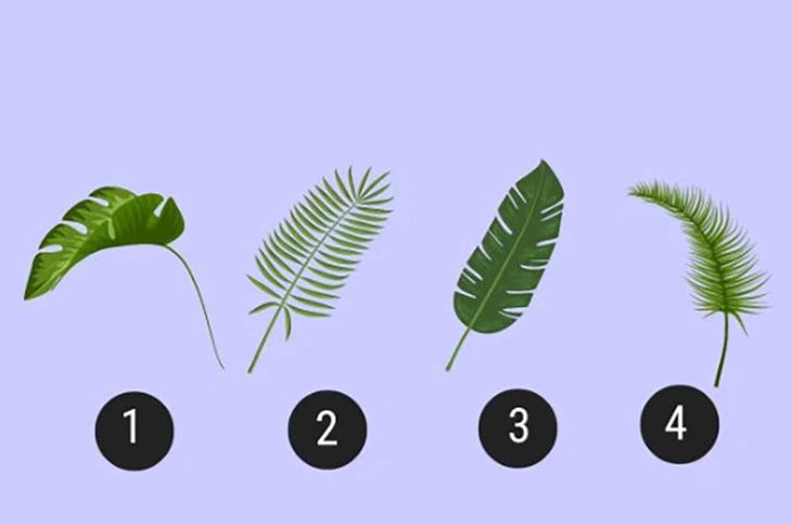 quiz - Ảnh 1.