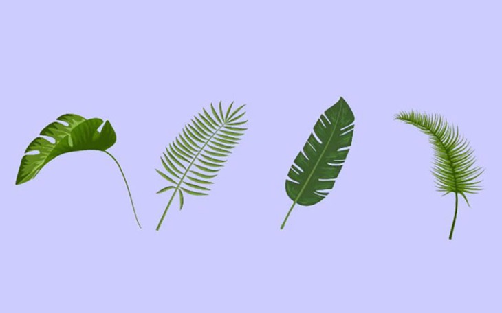 Quiz: Bạn là người kiên nhẫn và biết lắng nghe? - Ảnh 4.