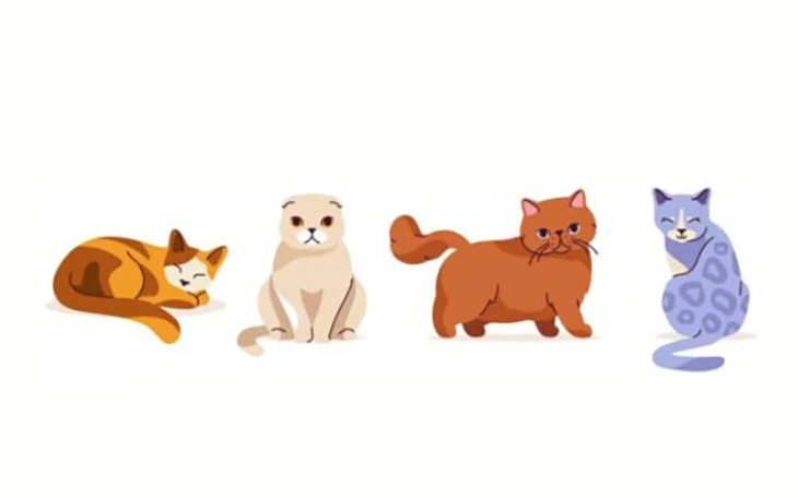 Quiz: Bạn bè đang nghĩ gì về bạn? - Ảnh 2.