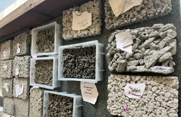  - Ảnh 3.