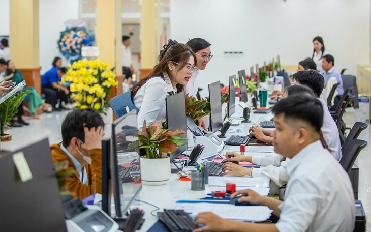 Các trường hợp viên chức bị kỷ luật cho thôi việc, cách chức - Ảnh 3.