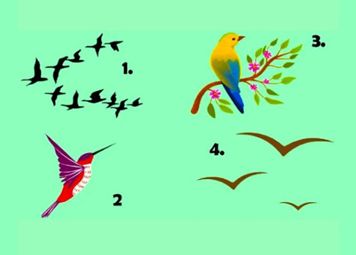 quiz - Ảnh 1.
