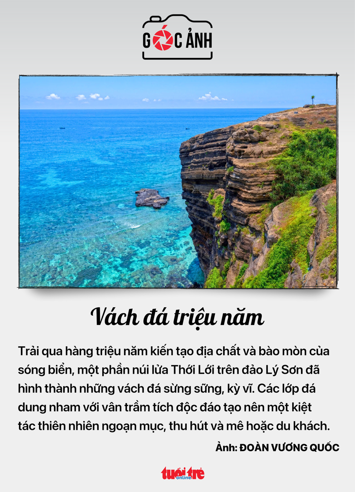 luật sư - Ảnh 5.