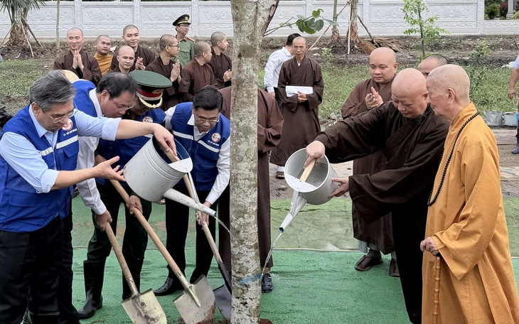 TP.HCM trồng mới nhiều cây xanh tại công viên Phan Đình Phùng, khu vực sân Thống Nhất... - Ảnh 7.