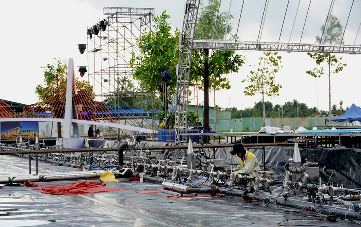 đồng tháp - Ảnh 7.