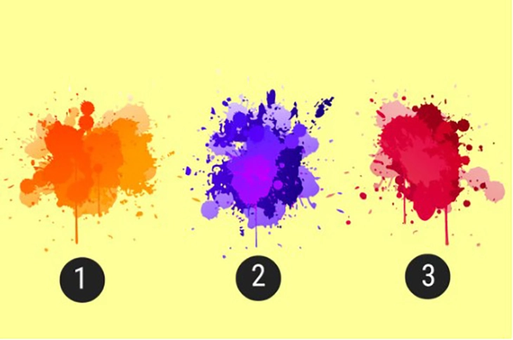 quiz - Ảnh 1.