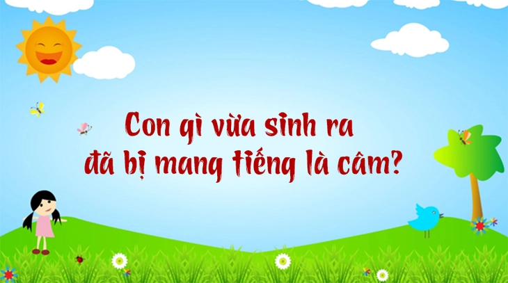 tiếng việt - Ảnh 3.