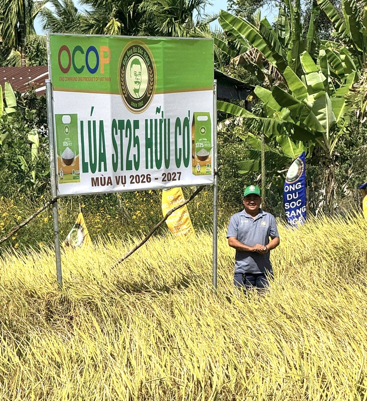 gạo hữu cơ - Ảnh 3.