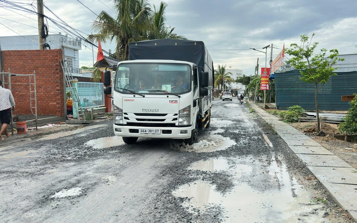  - Ảnh 5.