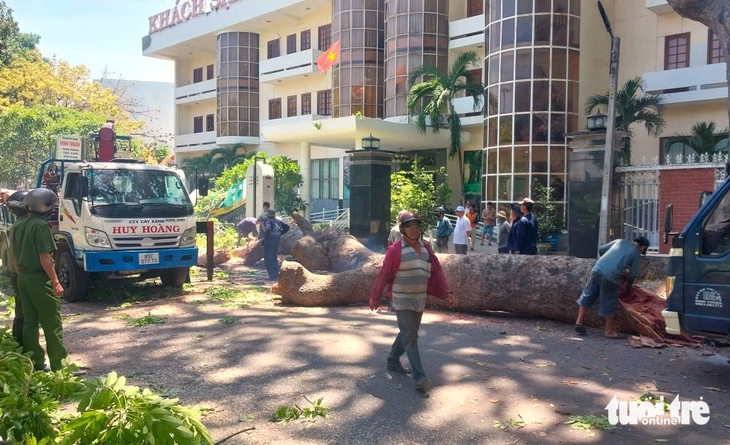 Phan Rang - Ảnh 2.