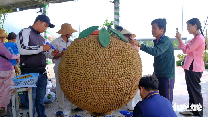 trái cây - Ảnh 4.