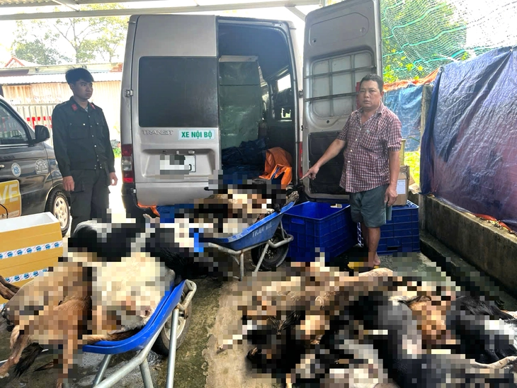 trộm chó - Ảnh 1.