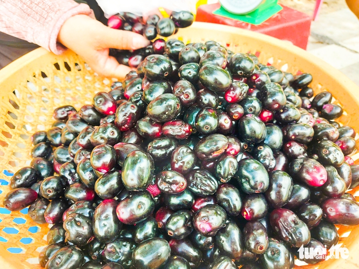 Du khách ‘săn’ tìm mua trâm chín cuối vụ ở An Giang - Ảnh 5.