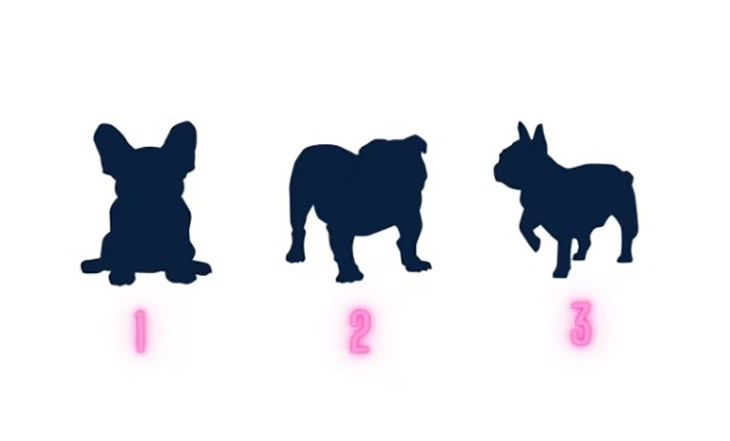 quiz - Ảnh 1.