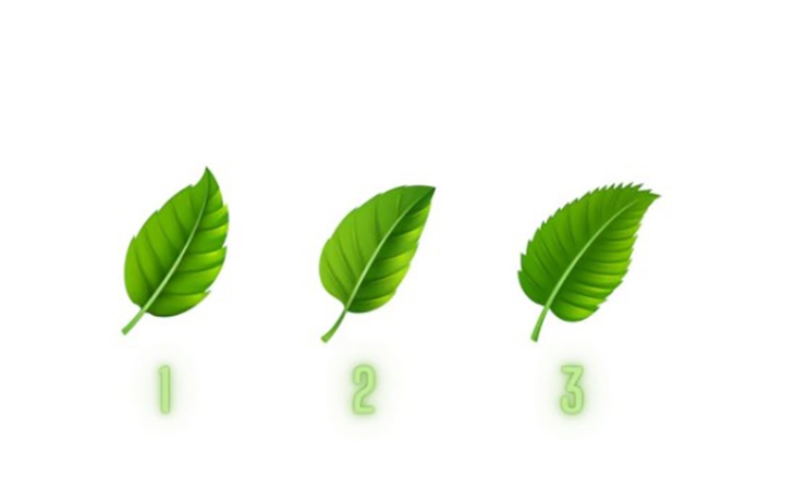 quiz - Ảnh 1.