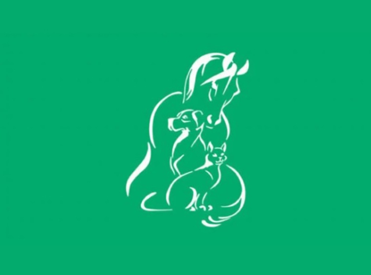 quiz - Ảnh 1.