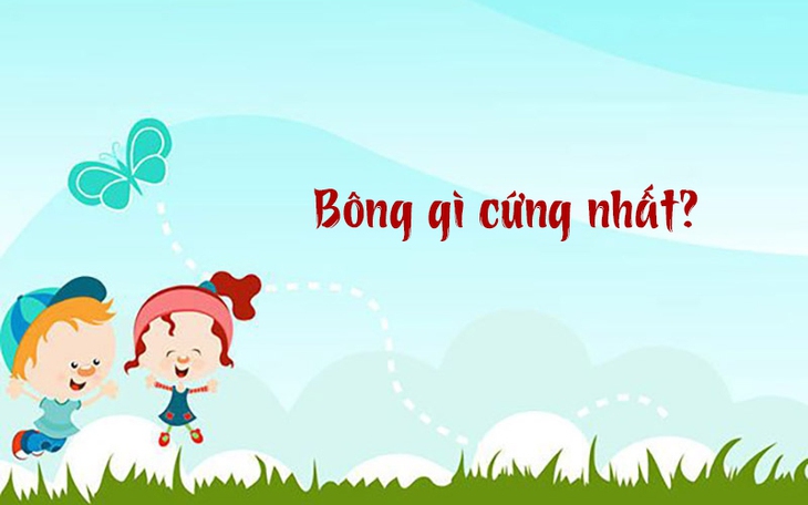 Tục ngữ quen thuộc này là gì? (P19) - Ảnh 3.