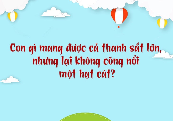 câu đố - Ảnh 3.
