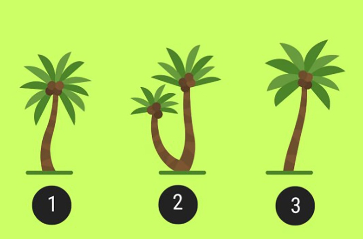 quiz - Ảnh 1.