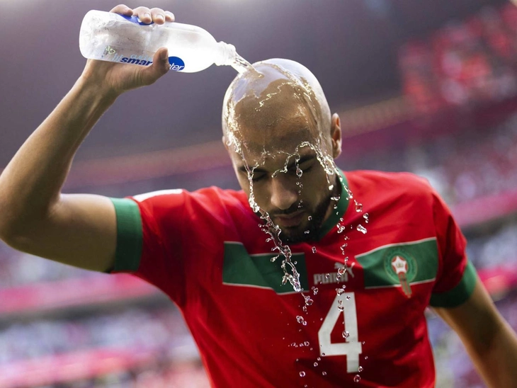 World Cup - Ảnh 1.