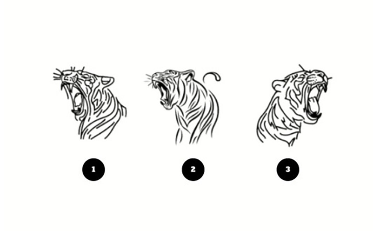 quiz - Ảnh 1.