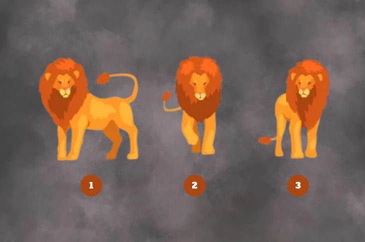 quiz - Ảnh 1.