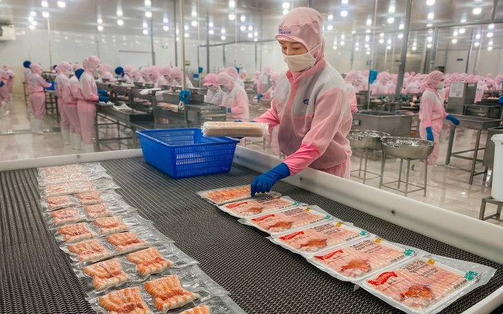 Một doanh nghiệp ở miền Tây nuôi cá rô phi, chế biến Sushi xuất sang Nhật - Ảnh 2.