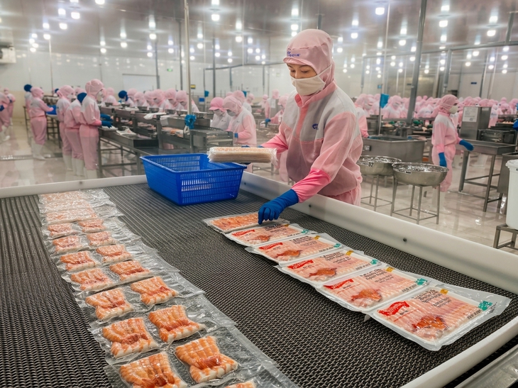 Giá tôm thẻ nguyên liệu giảm sâu ở miền Tây 2026 , nông dân lo lắng - Ảnh 2.