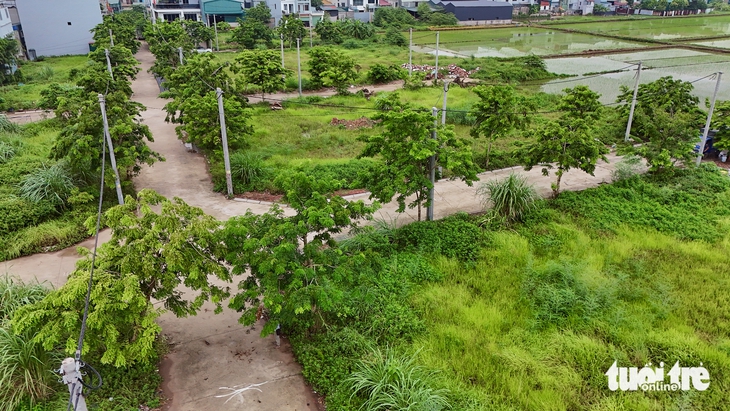 Dù nhiều khu đất đấu giá ngoại ô Hà Nội 'lặng như tờ', môi giới vẫn nói giá chưa hạ nhiệt - Ảnh 1.
