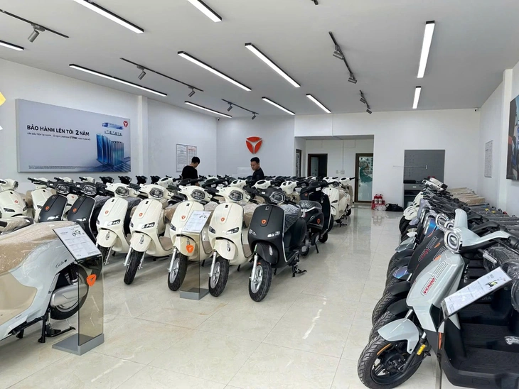 Yadea hỗ trợ người dùng chuyển đổi từ xăng sang xe điện - Ảnh 2.