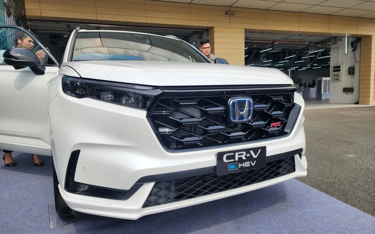 Phó thủ tướng chỉ đạo gỡ khó trước lo ngại thủ tục mới gây rủi ro cho doanh nghiệp ô tô  - Ảnh 3.